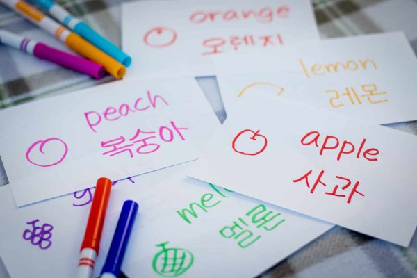How to study korean language