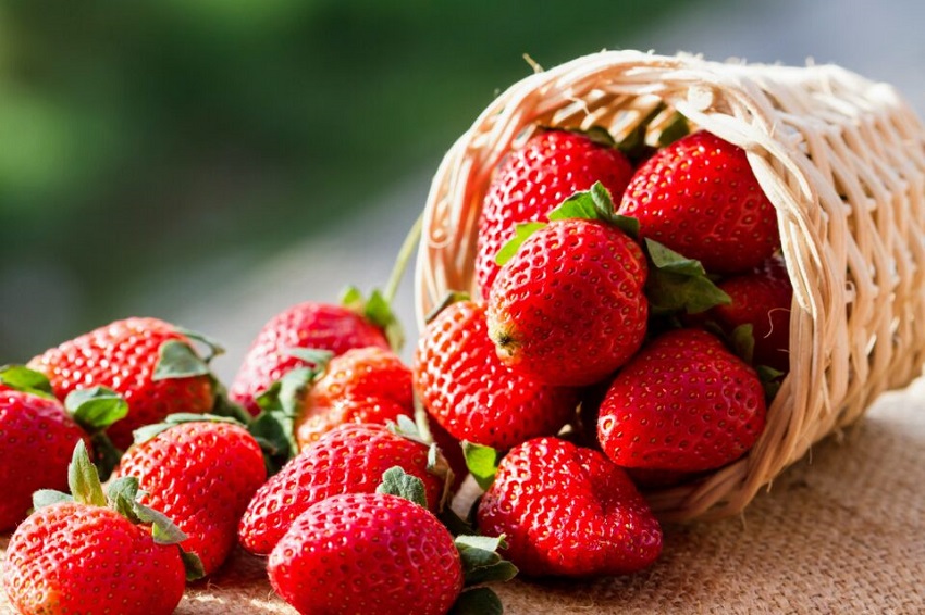 Is Strawberry a Spring Fruit