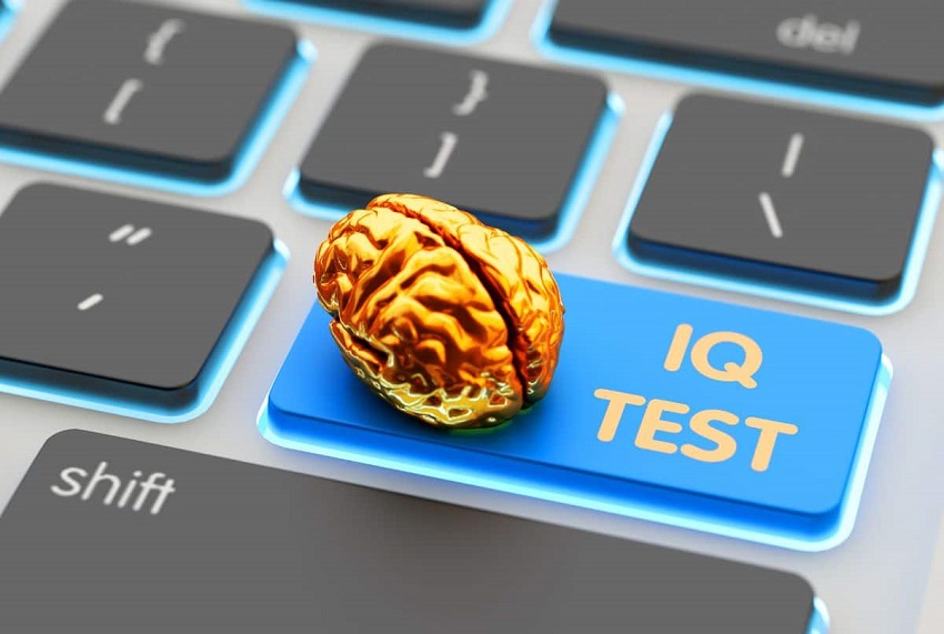 Is Wonderlic Test an IQ Test