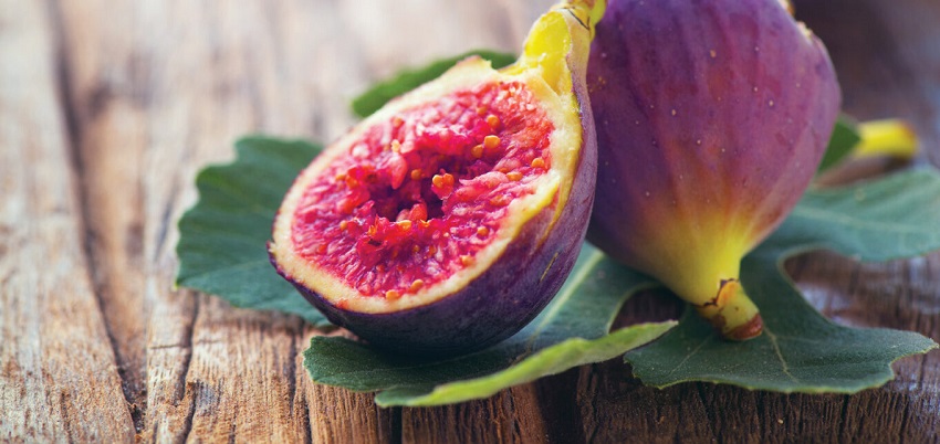 Which Fruit Tree is Easiest to Grow