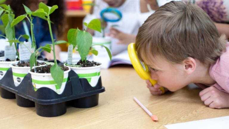 What is hands-on activity in science