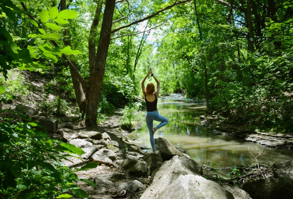 What does harness the power of nature mean