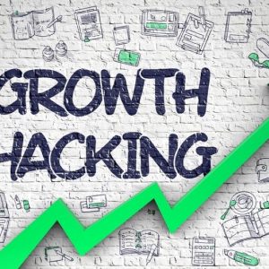 Growth Hacking for Sustainable Business Development