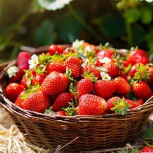 Is Strawberry a Spring Fruit